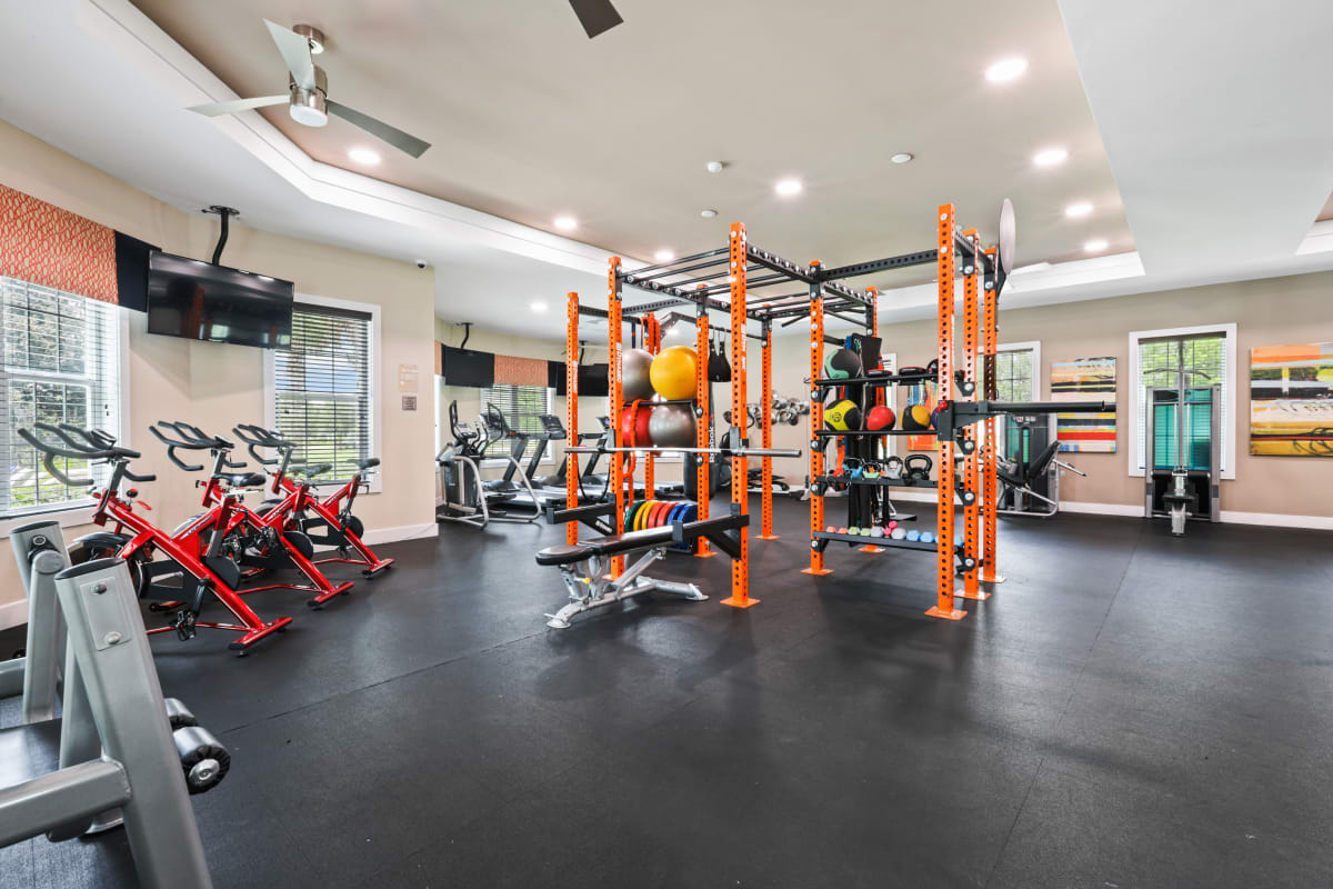 Rendering of fitness center and yoga balls at Lantower Asturia in Odessa, Florida