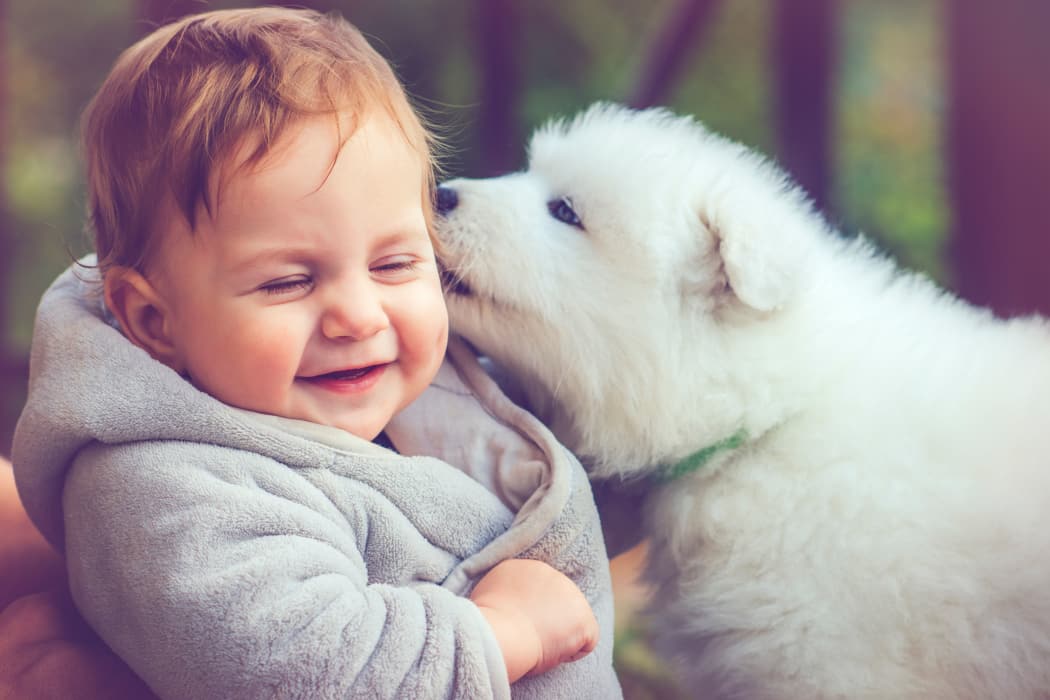 Puppy licking baby's face at Double Tree Apartments in El Paso, Texas