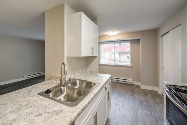 Upgraded kitchen at Chestnut Hills Apartments
