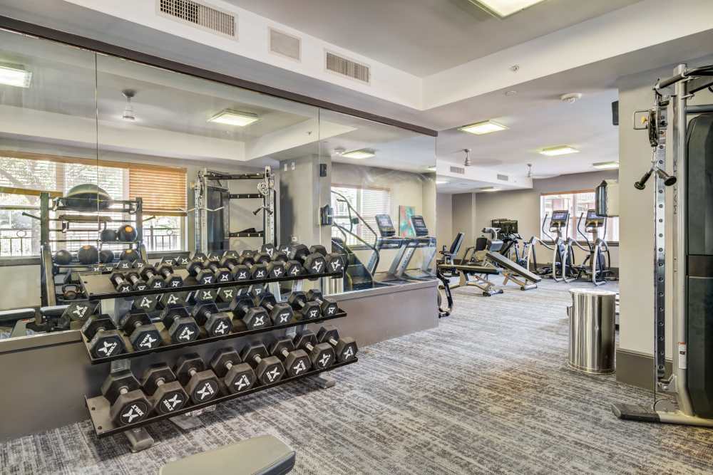 Modern fitness center with state-of-the-art equipment and vibrant natural light at Hollings Post Oak in Houston, Texas.