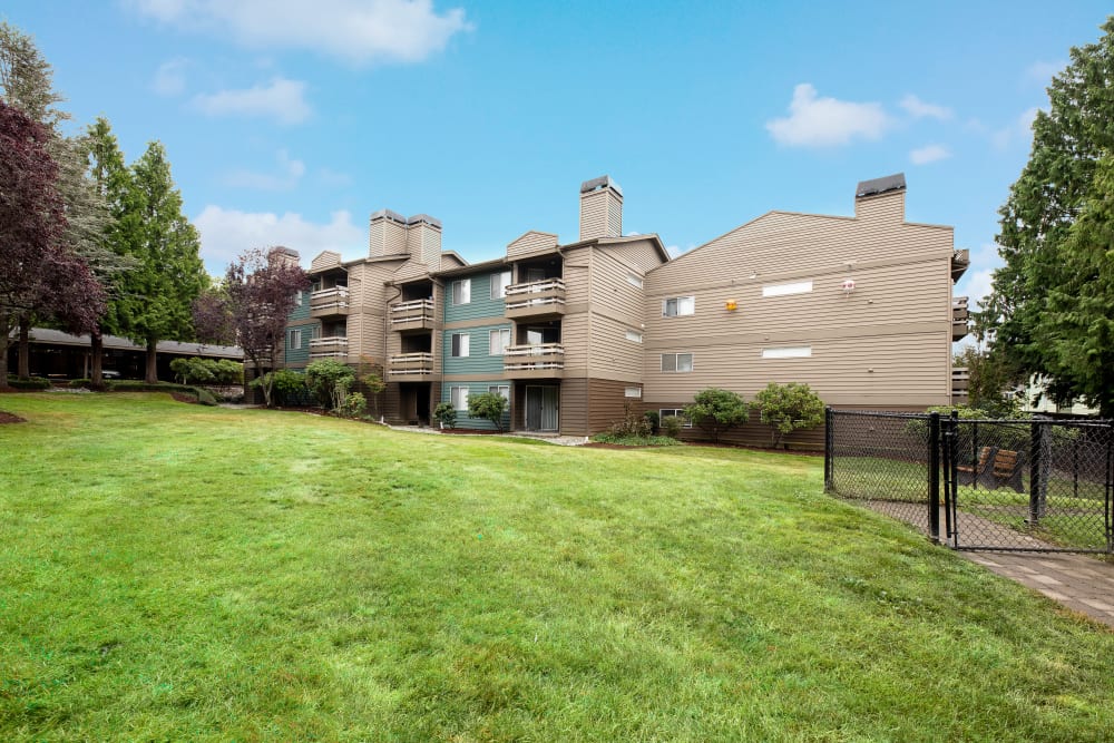 Large grassy area at Latitude Apartments in Everett, Washington