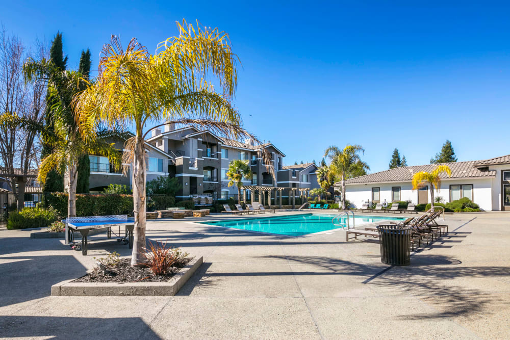Beautiful resort-style swimming pool surrounded by palm trees at Miramonte and Trovas in Sacramento, California