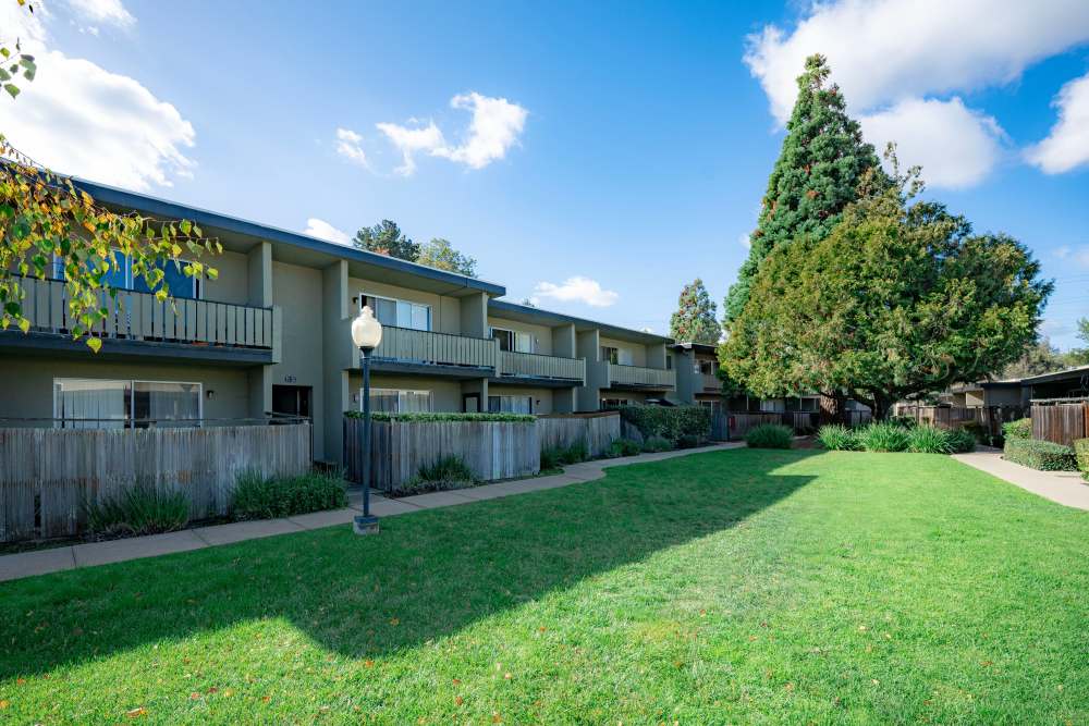 Community green spaces at The Chateau Apartments in Mountain View, California