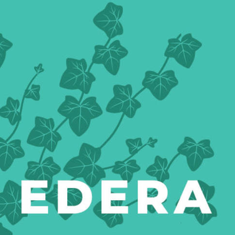 Edera