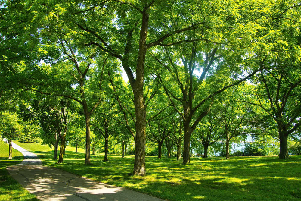 Oak Leaf Trail in St. Francis, WI, near Lake Michigan