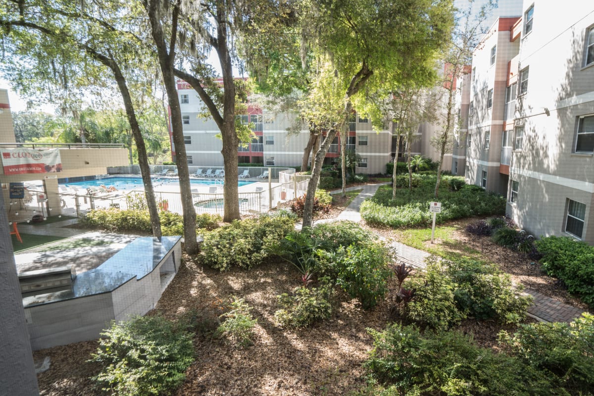 Forested area outside the pool at On50 in Tampa, Florida