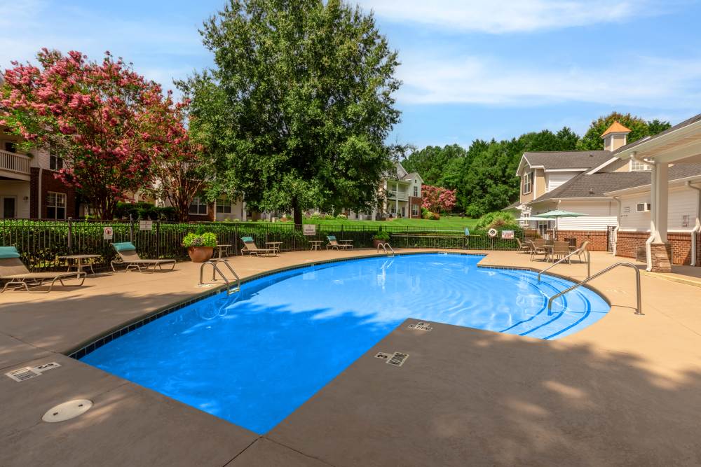 Swimming pool with view to community at Camellia in Raleigh, North Carolina