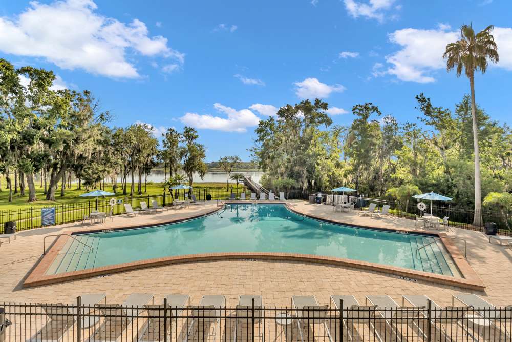 Swimming pool with lounge chairs at Lake Carlton Arms in Lutz, Florida