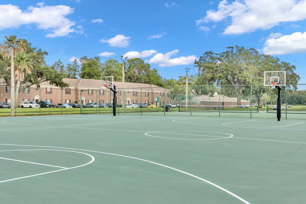 Community basketball court at Lake Carlton Arms in Lutz, Florida