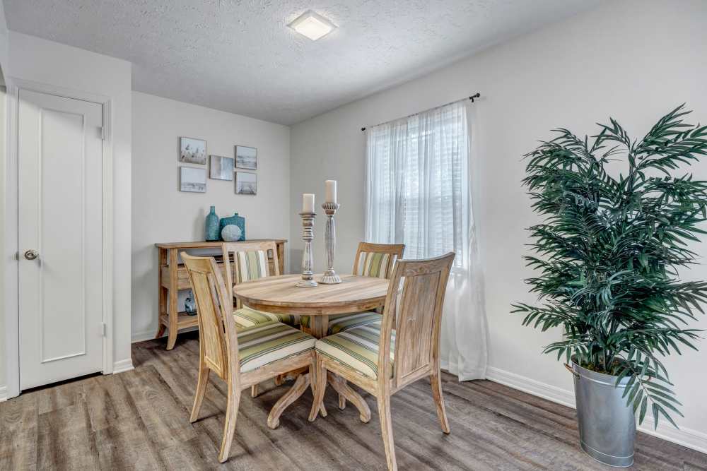 Round dining table with chairs, large window and indoor plant at Lake Carlton Arms in Lutz, Florida