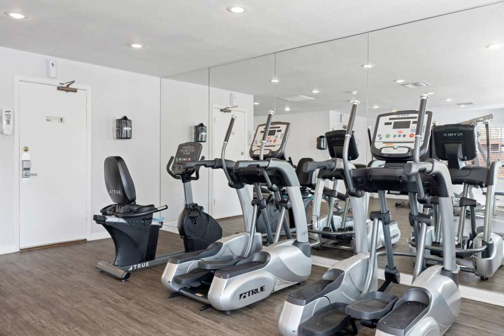 Modern fitness center with wood-style flooring, elliptical machines, and stationary bike in a bright space at Carlton Arms North in Tampa, Florida