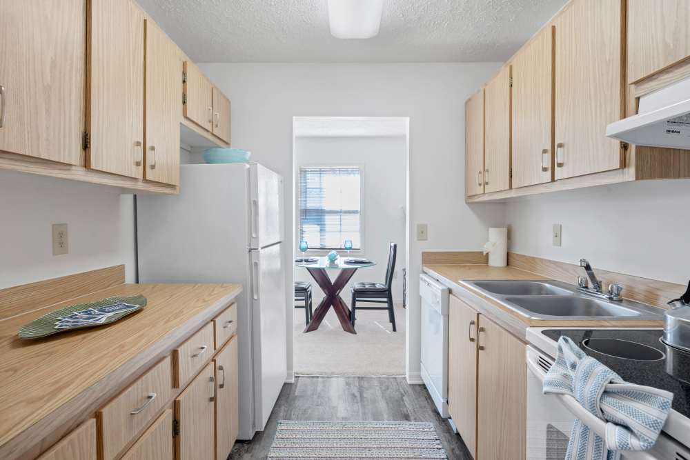 Bright kitchen featuring wood-style flooring, stainless steel appliances, and ample cabinet space at Carlton Arms North in Tampa, Florida