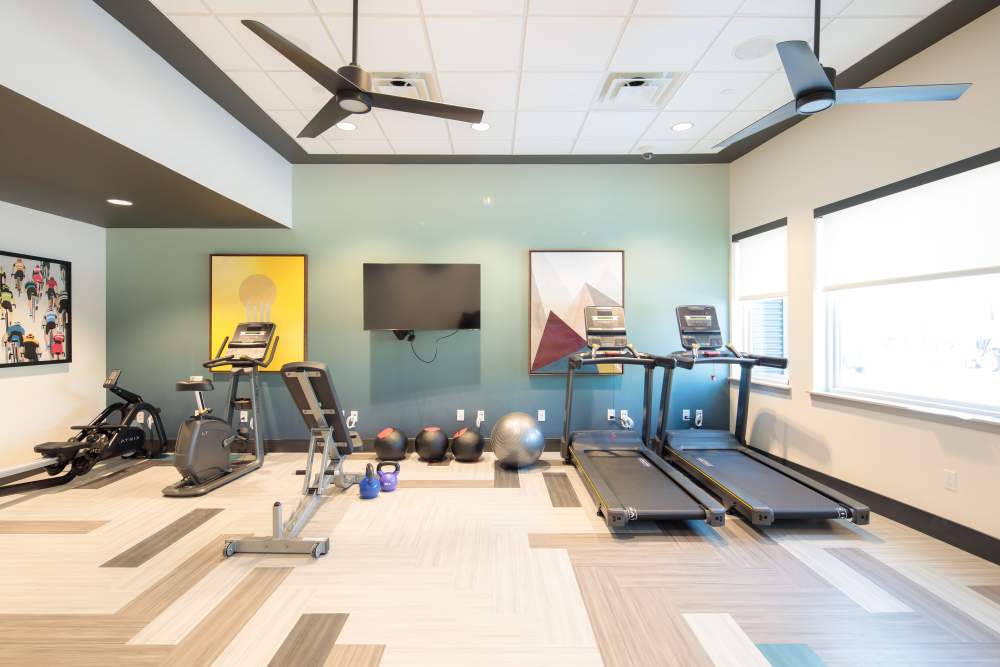 Modern fitness center featuring cardio machines, weights, and large windows for natural light at Viña Apartments in Denver, Colorado