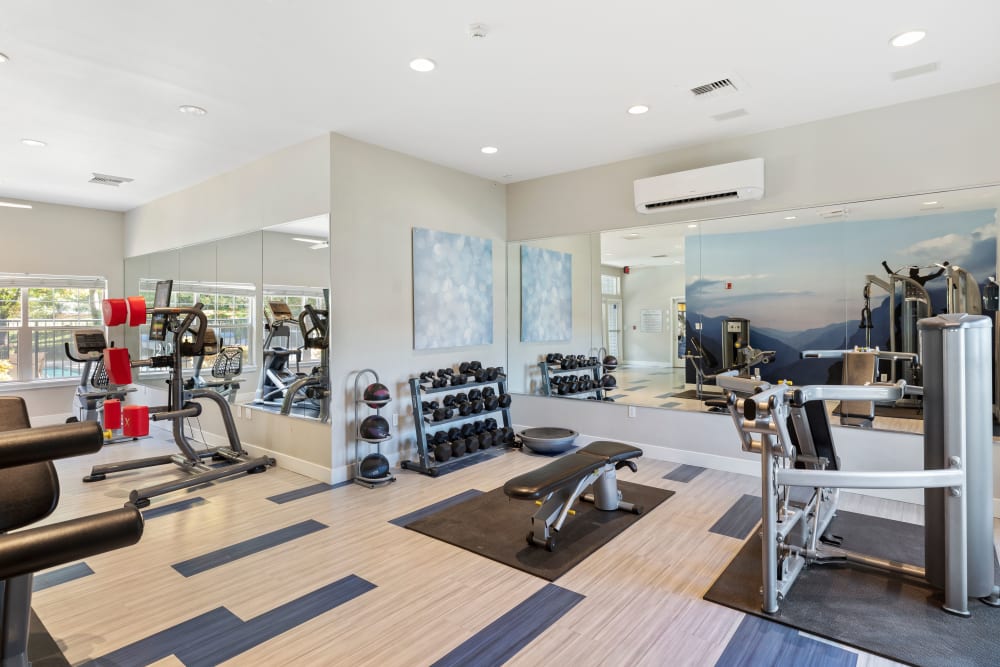 Fitness center with plenty of individual workout stations at Pebble Cove Apartments in Renton, Washington