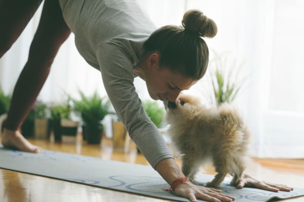 Woman doing yoga with dog at The West End Apartments in Verona, Wisconsin