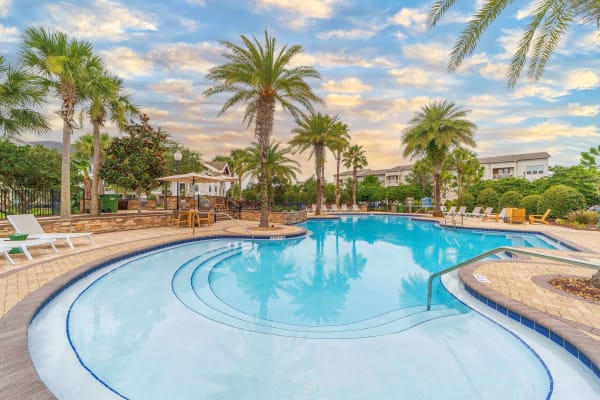 Swimming Pool at Terraces at Town Center in Jacksonville, Florida