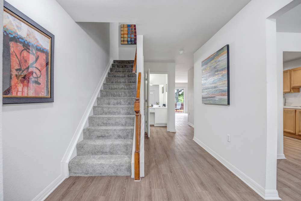 Bright hallway with wood-style flooring, carpeted stairs, and colorful artwork on walls at Carlton Arms Of Winter Haven in Winter Haven, Florida