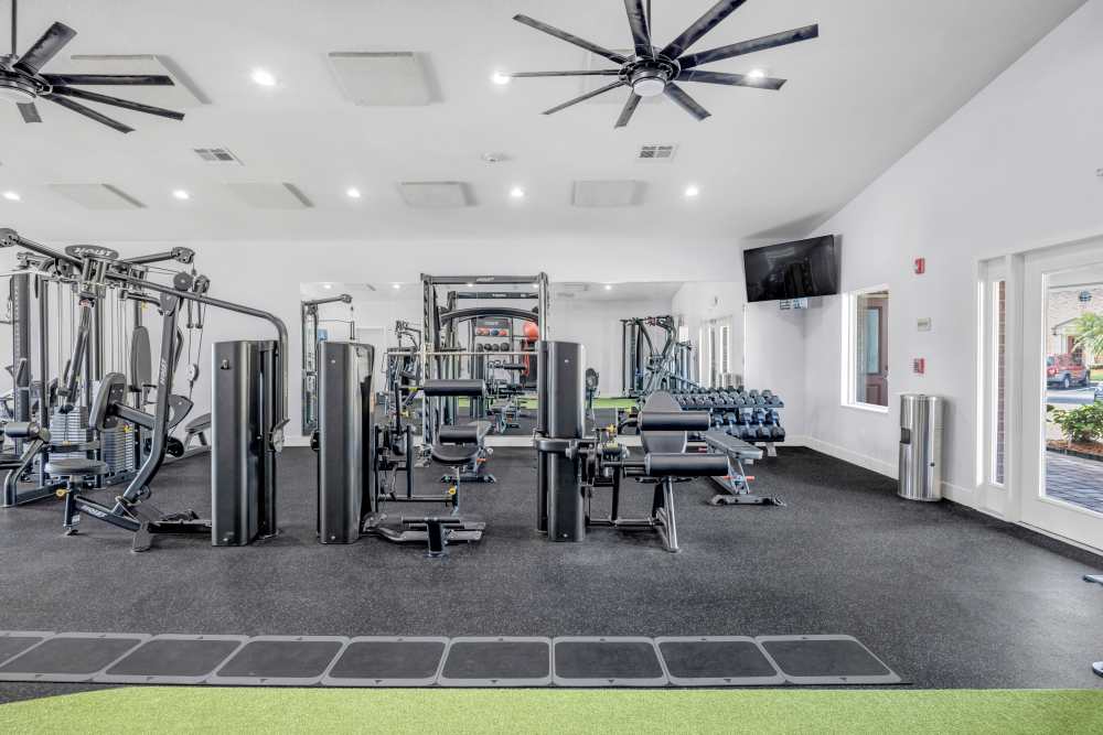 Fitness center featuring modern equipment, large windows, and ceiling fans for ventilation at Carlton Arms Of Winter Haven in Winter Haven, Florida