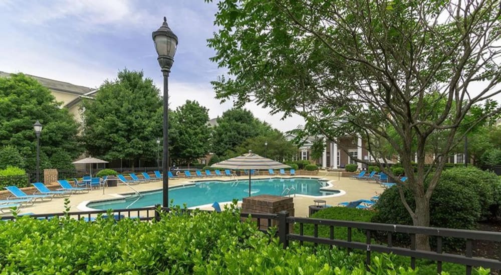 Beautiful pool at Avemore Apartment Homes in Charlottesville, Virginia