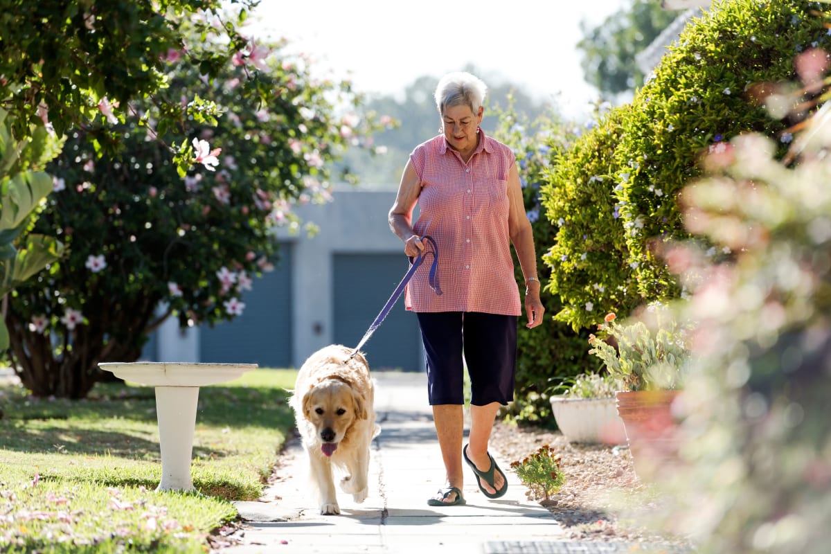 Resident walking their dog at Keystone Place at Forevergreen in North Liberty, Iowa