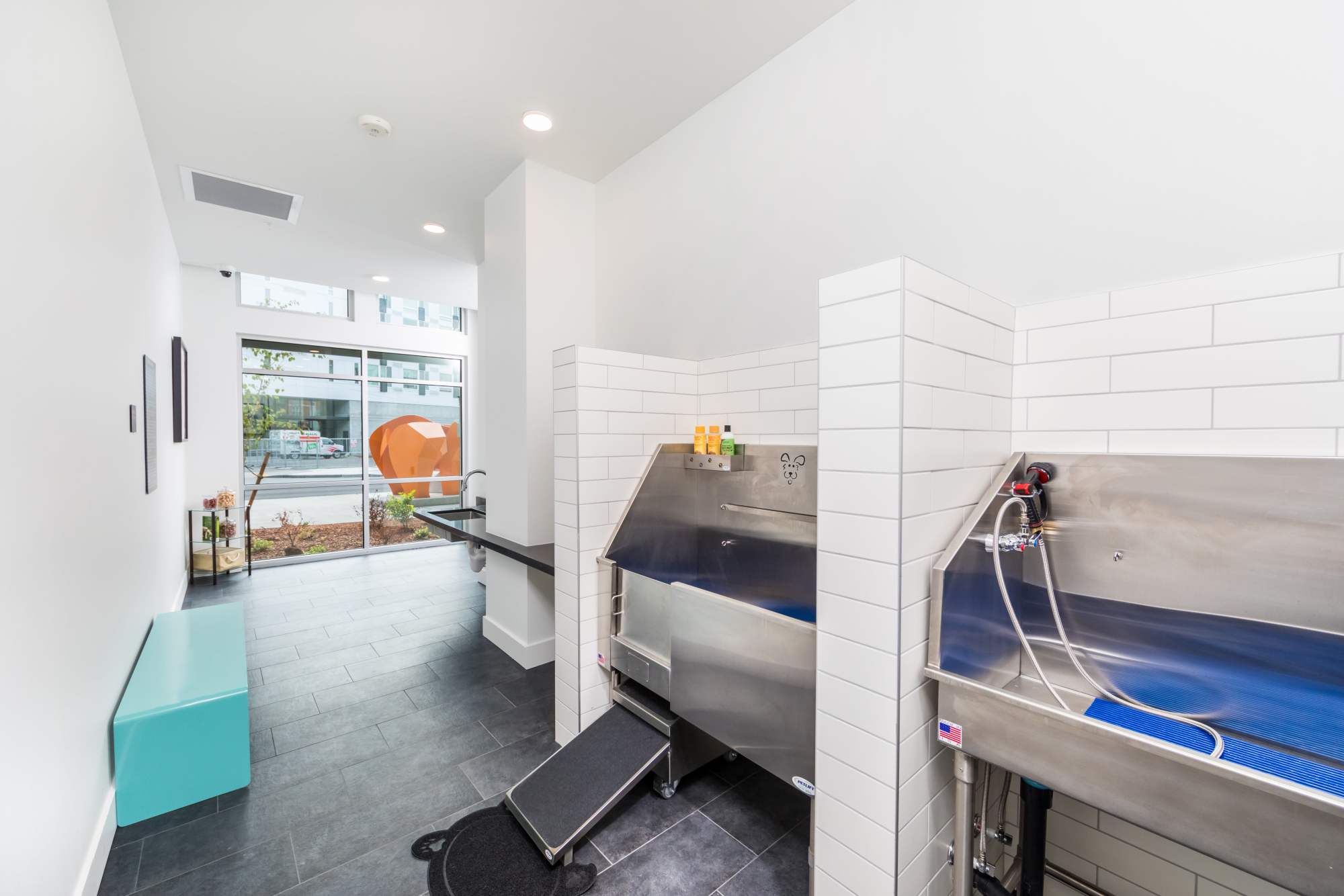 Community dog wash area at Radiate in Redmond, Washington