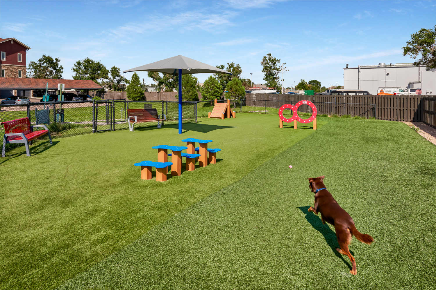 Dog park at M2 Apartments in Denver, Colorado  