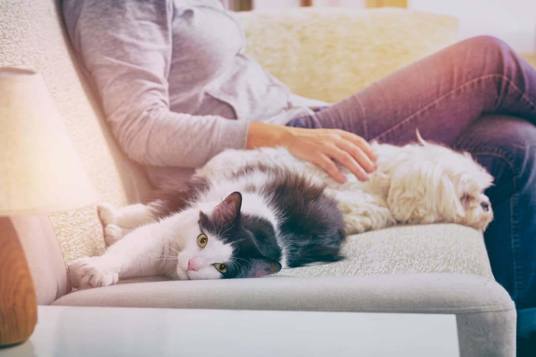 Resident and her pets enjoying their new home at Cooper Creek in Louisville, Kentucky