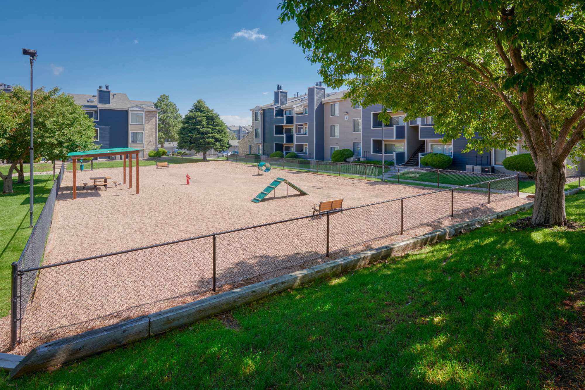 Have fun in the dog park at Alton Green Apartments in Denver, Colorado