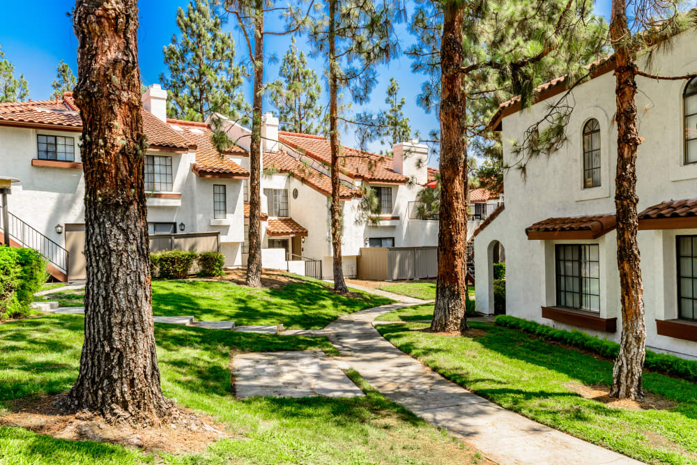 Beautifully manicured lawns with lots of trees at Sonora at Alta Loma in Alta Loma, California