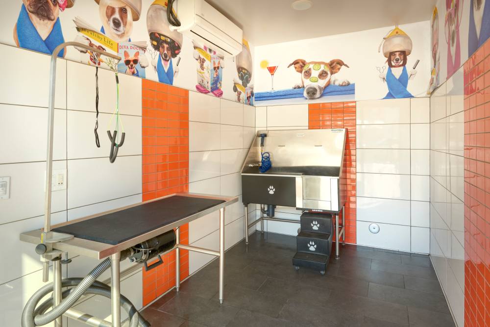 Dog grooming station at Strata Apartments in Denver, Colorado