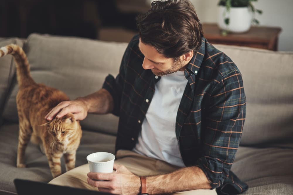 A cat and his owner enjoying their new home at Royal Farms Apartments in Salt Lake City, Utah