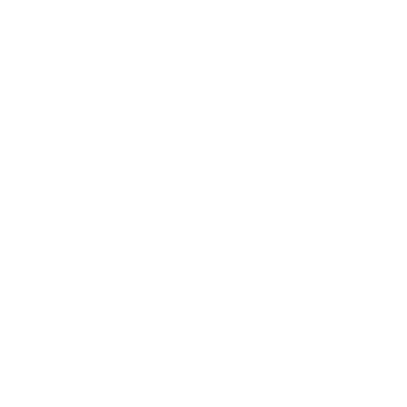 Capture The Rhythm stylized callout text on our website at Cadence at Nocatee in Ponte Vedra, Florida