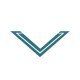 Divider Image