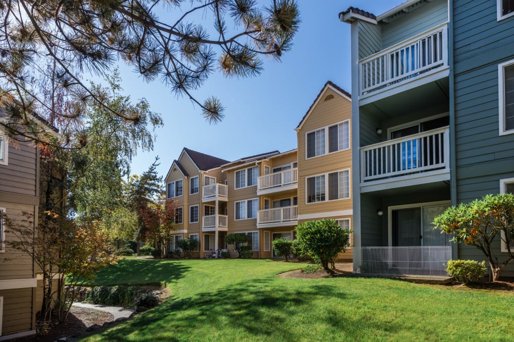 Building exteriors on a beautiful day at The Knoll Redmond in Redmond, Washington