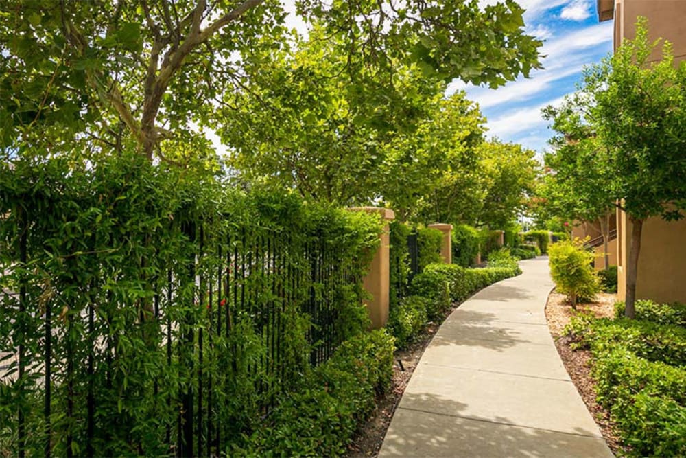 Landscaped pathway at Maralisa Meadows in Livermore, California