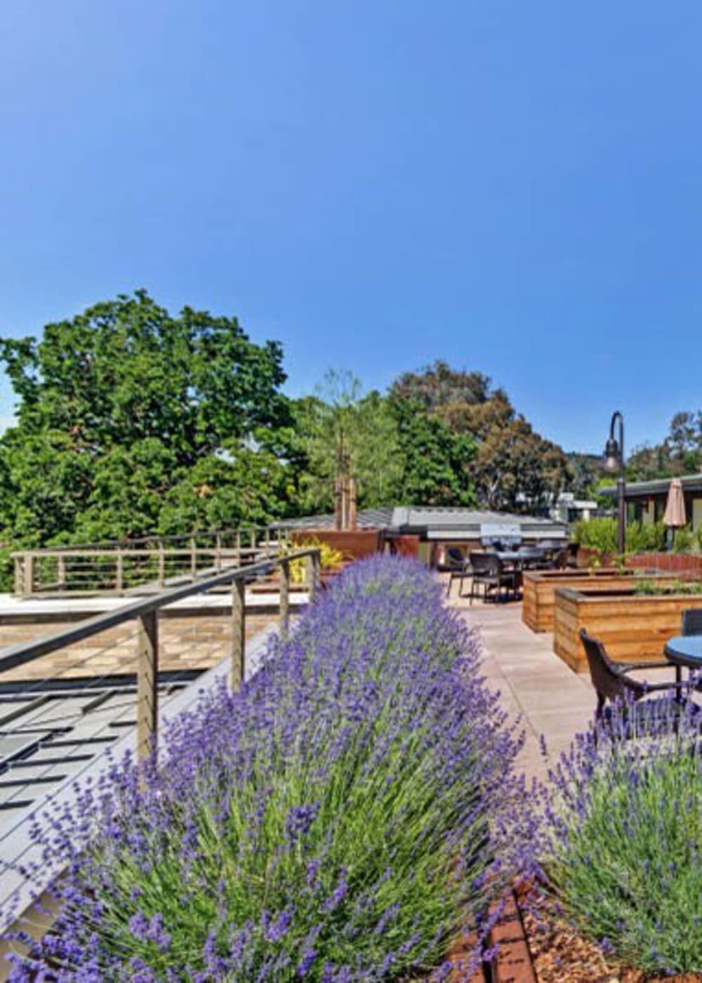 Lafayette, CA Senior Living | Merrill Gardens at Lafayette