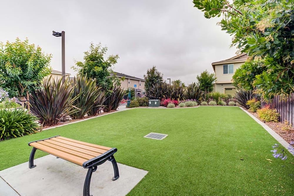 Green space at  The Reserve at Rohnert Park in Rohnert Park, California