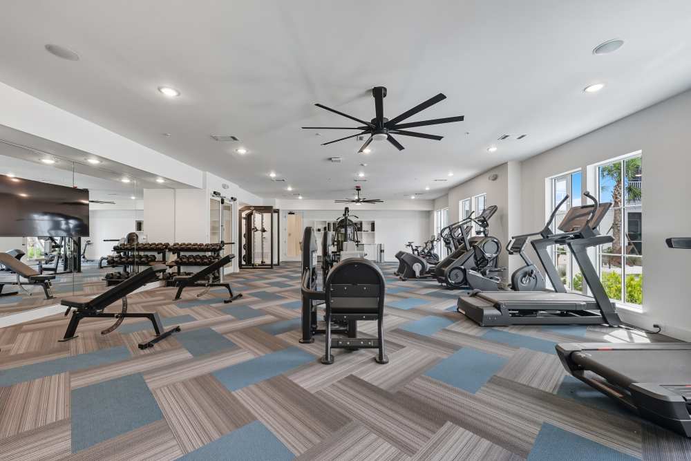 State-of-the-art fitness equipment at Wilton Palm Coast in Palm Coast, Florida
