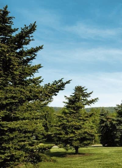 Great outdoors at The Village of Laurel Ridge in Harrisburg, PA