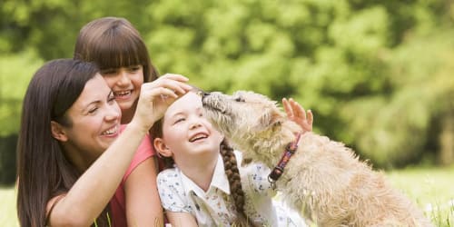 Residents petting their dog at Forest Park in Chico, California