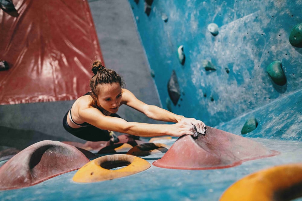 ClimbZone rock climbing near at Elms at the Refuge in Laurel, Maryland