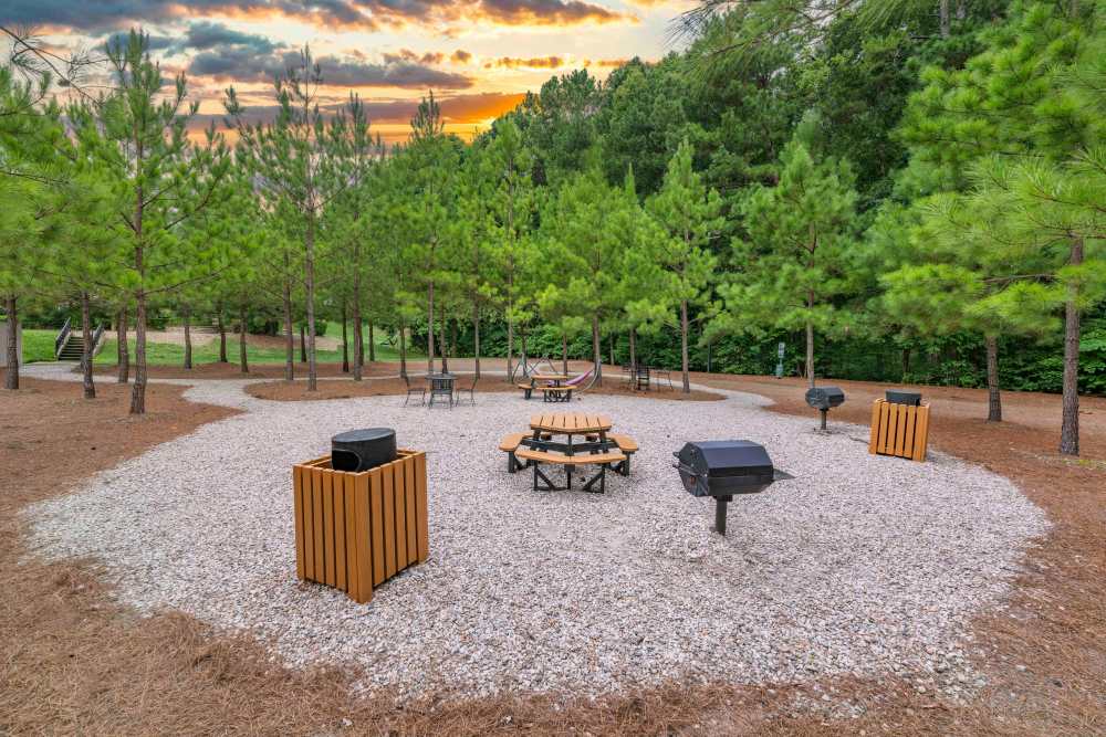 Gril area at The Ellery of Cary in Cary, North Carolina