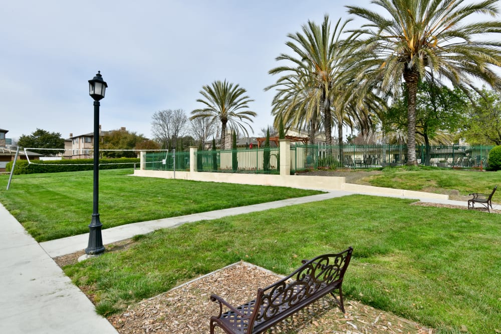 Spacious lawn at Emerald Park Apartment Homes in Dublin, California