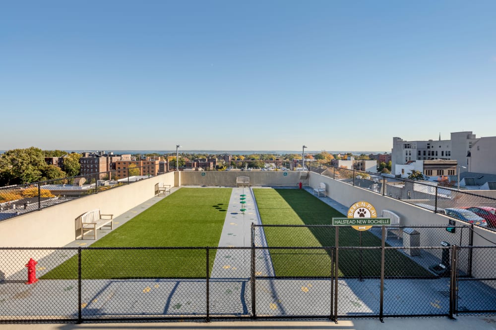 Bark park at Skyline New Rochelle in New Rochelle, New York