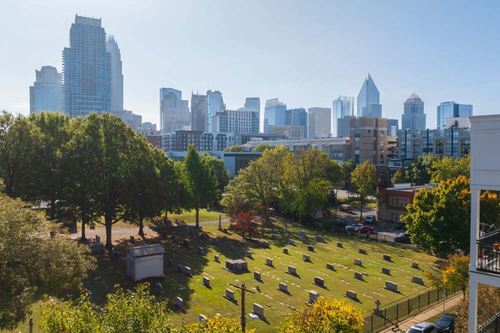 Skyline and park view at Cedar Flats in Charlotte, North Carolina