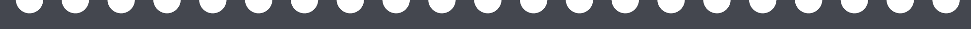 Divider Image