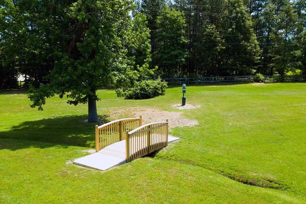 Greenery at Parkview Estates in Liberty City, Texas