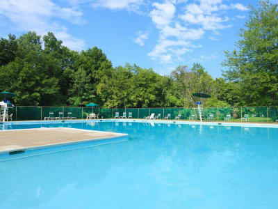 Apartments Townhomes In Windsor Mill With A Gym Pool