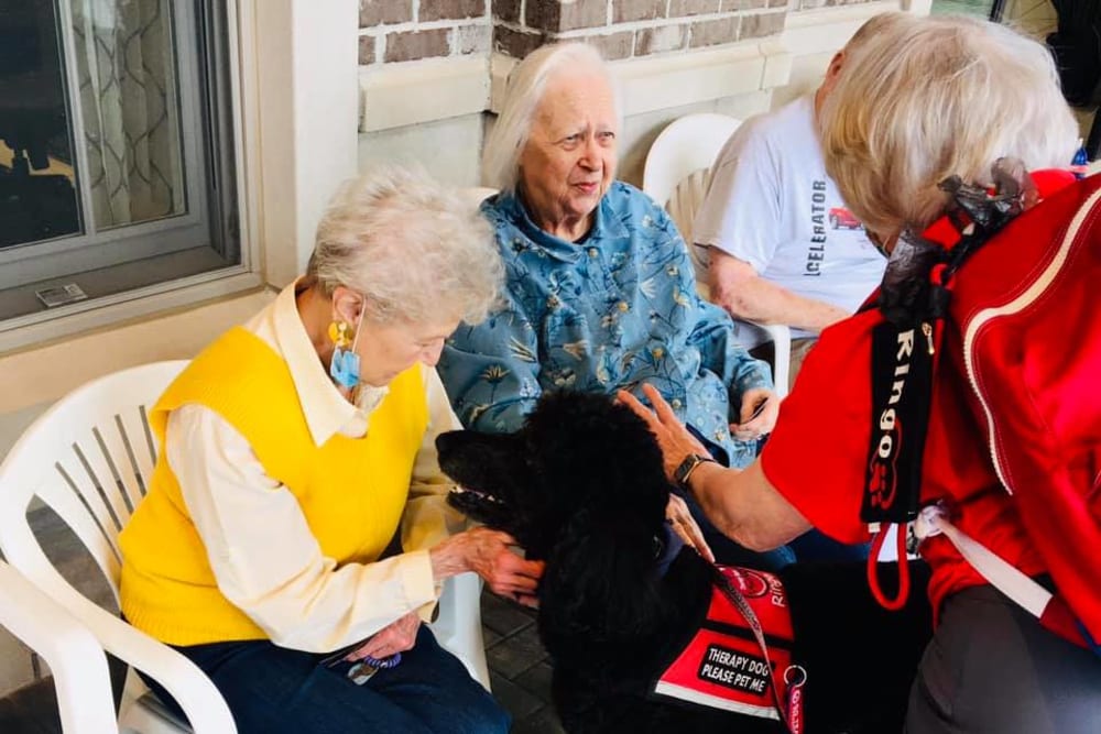 Residents petting a service dog at Blossom Ridge in Oakland Charter Township, Michigan