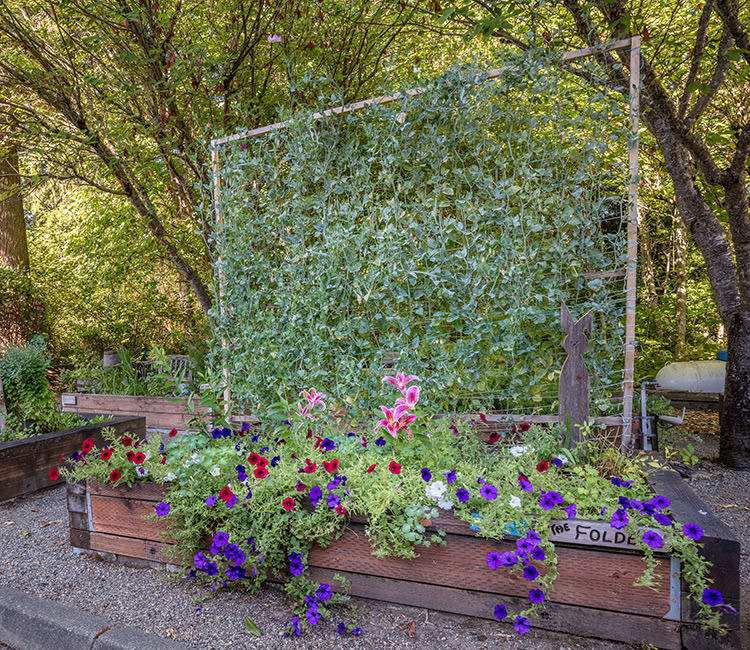 Exterior garden at The Firs in Olympia, Washington